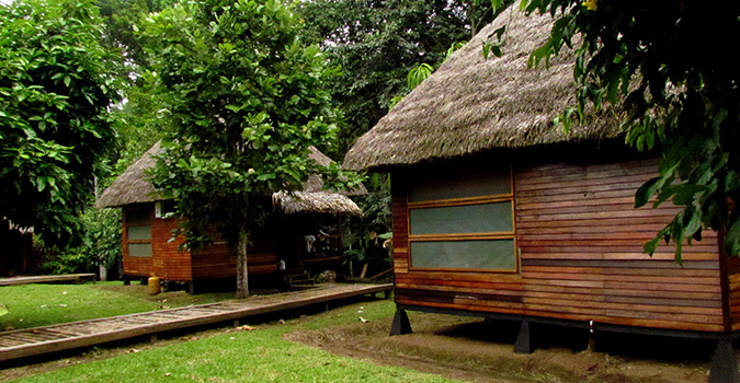 Sani Lodge Ecuador Amazon Rainforest